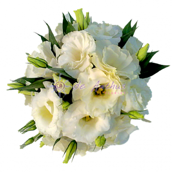 Eustoma Bridal Bouquet 