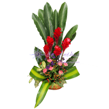Carnation Flowers Basket