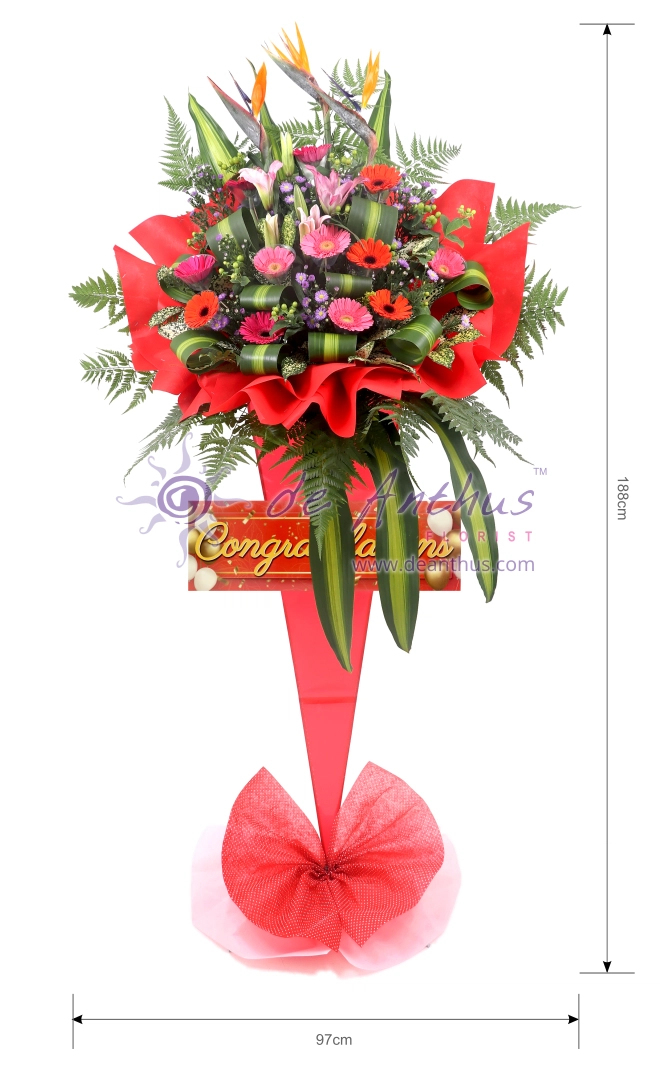 Congratulatory flower stand GOF-17