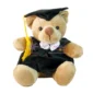 Graduation Bear-P1020702-600px