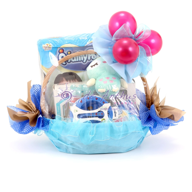 Newborn Gift Basket-NBG-02