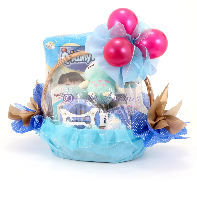 Newborn Gift Basket-NBG-02