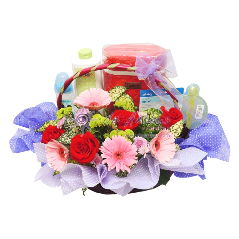 Newborn Gift Basket-NBG-05