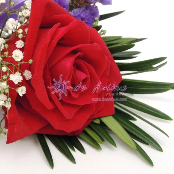 CSG-08-Red Rose Corsage-DSCN7573 CSG-08-Red Rose Corsage-DSCN7573