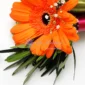 CSG-11-Wrist Corsage Gerbera-DSCN7583-1
