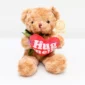 AOT-01-Plush Toy-Valentine Bear-IMG_2918