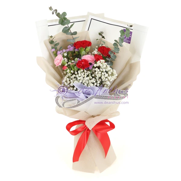 Mother's Day Carnation Bouquet