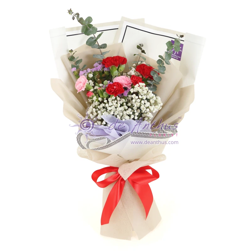 Mother's Day Carnation Bouquet