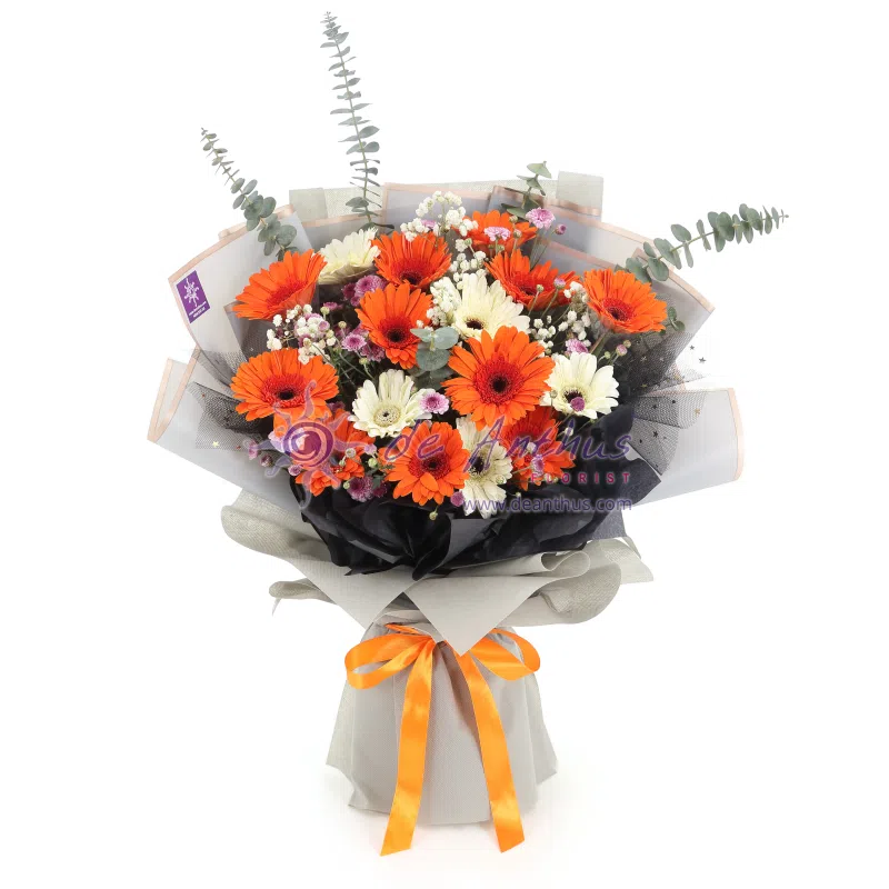 De Anthus Orange & White Gerbera Bouquet EHB-11